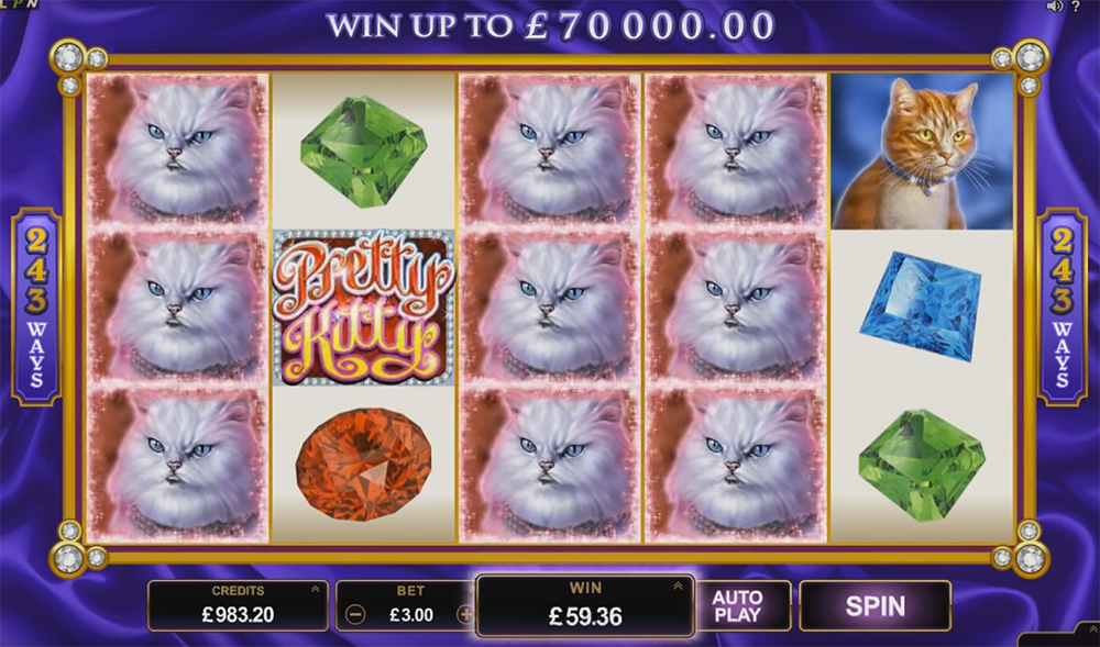 Игровой автомат Pretty Kitty - выигрыш 1 339 050 рублей.