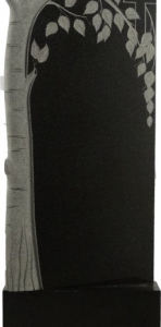 Р-19